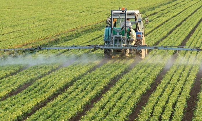 Ege’de tarım ihracatı 7 milyar dolara koşuyor