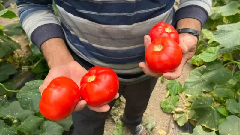 Ürünün yüzde 45’i vatandaşın eline ulaşamadan israf oluyor