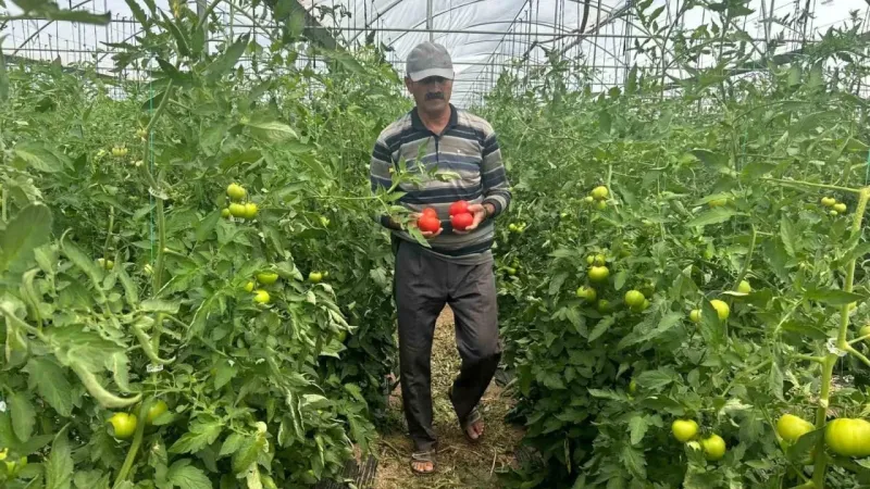 Ürünün yüzde 45’i vatandaşın eline ulaşamadan israf oluyor