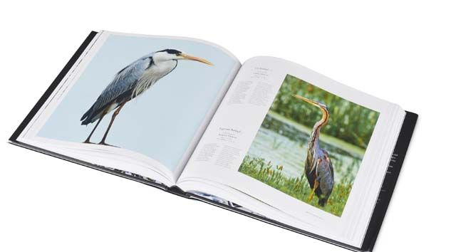 Tekfen Filarmoni ve Filar-mini’den evde kaliteli zaman geçirme önerileri