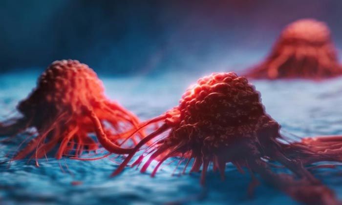 Karaciğer kanseri tedavisinde etkili olan yeni bir molekül belirlendi