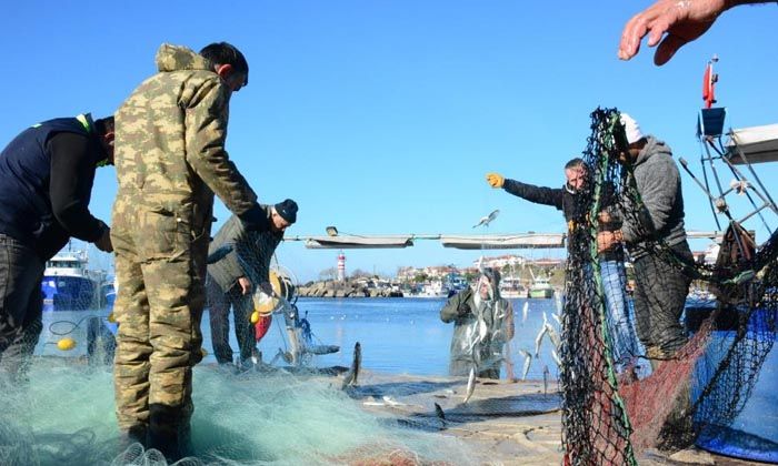 Karadeniz’in incisi çinekop, yeni yılın ilk ayında yüzleri güldürdü