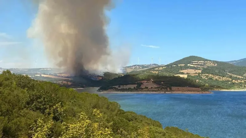 Bayramiç’teki orman yangını kontrol altına alındı, 420 futbol sahası büyüklüğünde alan küle döndü
