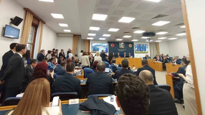 Sahipsiz hayvanlara yönelik kanun teklifinin komisyon görüşmeleri tartışmalarla başladı