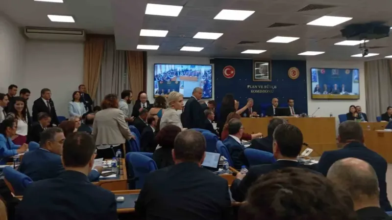 Sahipsiz hayvanlara yönelik kanun teklifinin komisyon görüşmeleri tartışmalarla başladı Sahipsiz hayvanlara yönelik kanun teklifinin komisyon görüşmeleri tartışmalarla başladı