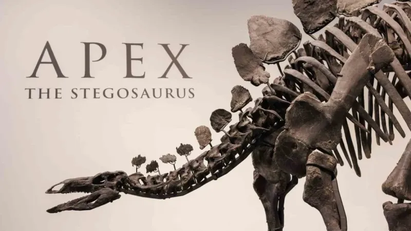 Dinozor iskeleti 44.6 milyon dolarlık rekor fiyata satıldı