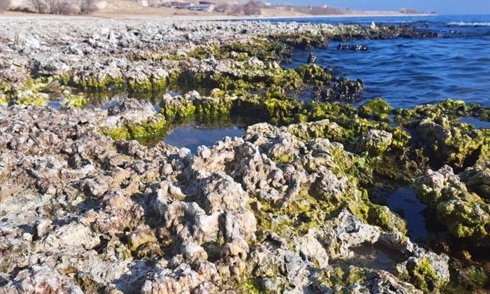 Van Gölün’de korkutan su çekilmesi