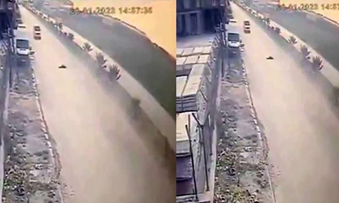 Köpeklerden kaçan küçük çocuğun feci ölümü