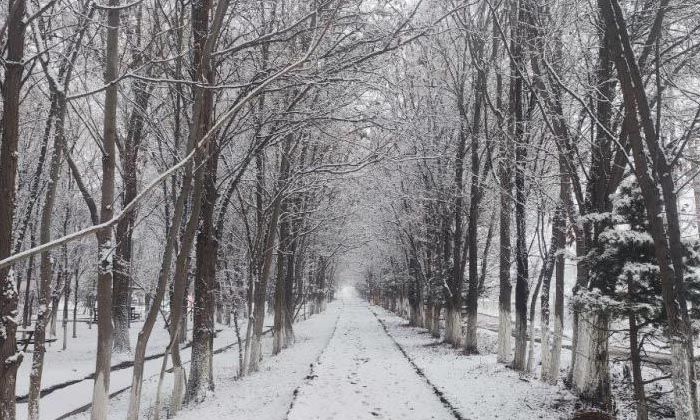 Iğdır’da kar yüzünden uçak seferleri iptal edildi