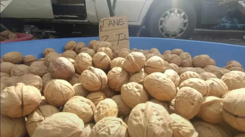 Cevizin tanesi 2 TL Cevizin tanesi 2 TL