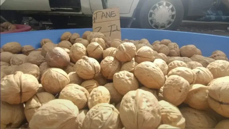 Cevizin tanesi 2 TL Cevizin tanesi 2 TL