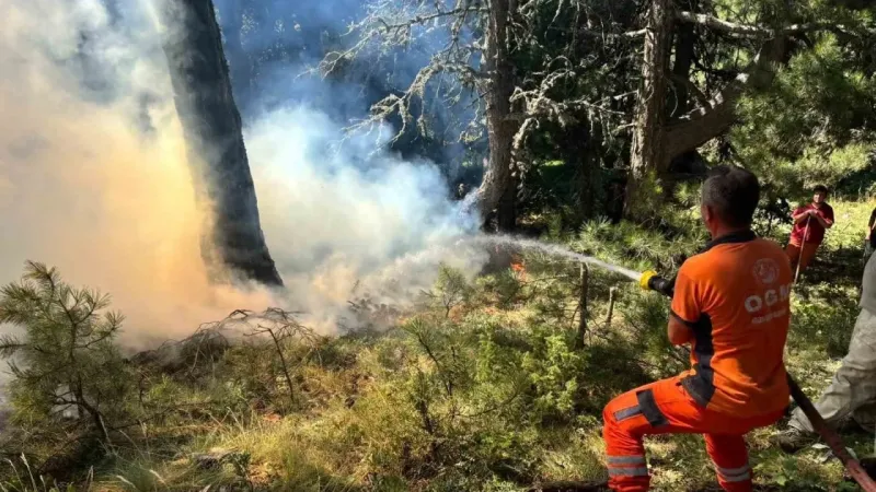 Uludağ’ın eteklerinde korkutan yangın Uludağ’ın eteklerinde korkutan yangın