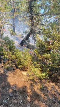 Uludağ’ın eteklerinde korkutan yangın Uludağ’ın eteklerinde korkutan yangın