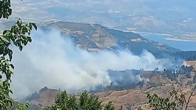 Kahramanmaraş’ta orman yangını
