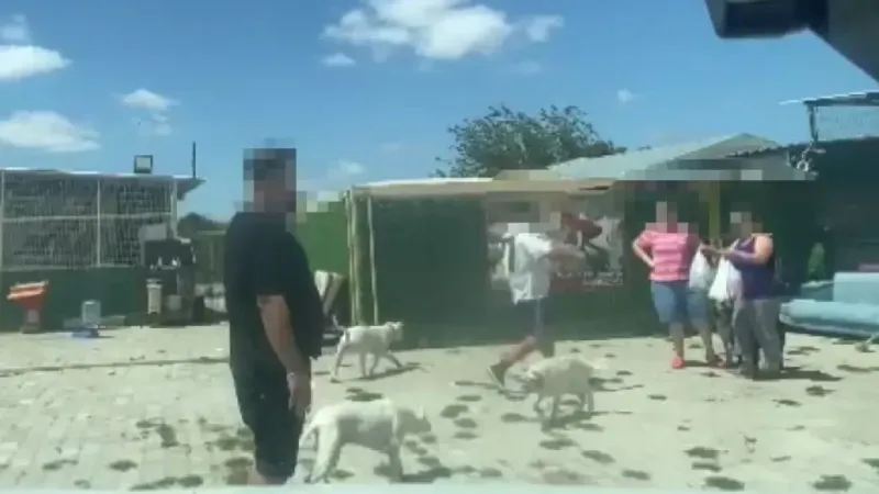 Hayvan koruma derneğinde yolsuzluk