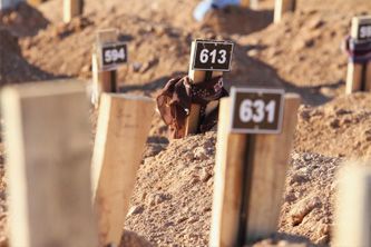 Mezarlıklarda yürek yakan manzaralar