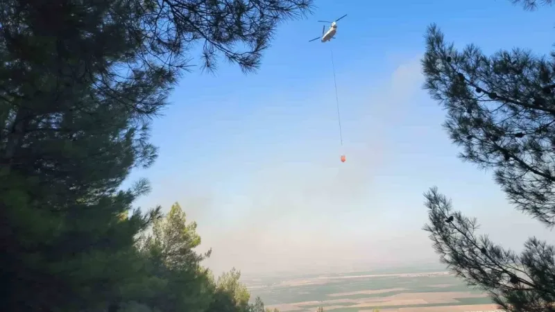 Hatay’da çıkan orman yangını 15. saatte kontrol altına alındı