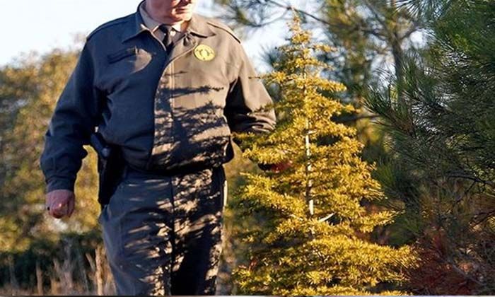 2023 OGM personel alımı başvurusu ne zaman? OGM personel alımı şartları neler?