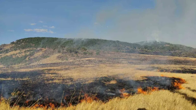 Tunceli’deki yangını söndürmek için asker devreye girdi