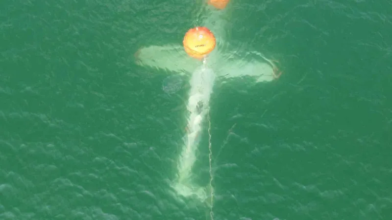 Baraja düşen helikopter yüzdürülerek karaya çıkarılıyor