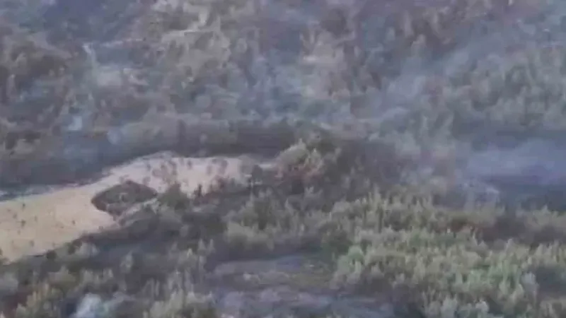 Milas yangını kontrol altında