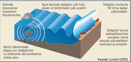 Tsunami nedir? Tsunami nasıl olur?
