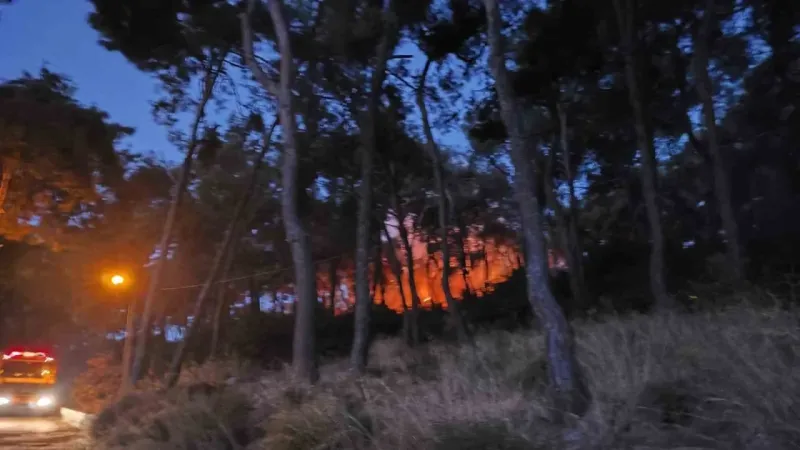 Heybeliada’da ormanlık alanda yangın