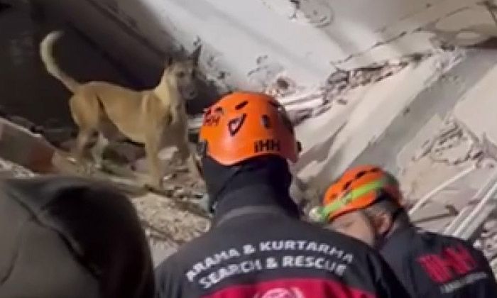 İHH’nın arama kurtarma köpekleri 50 kişinin kurtulmasına vesile oldu