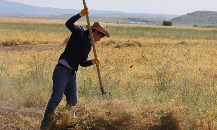 Çiftçiler için gübre dağıtımı başladı mı? Gübde dağıtımı ne zaman alınacak? Nerede alınacak?