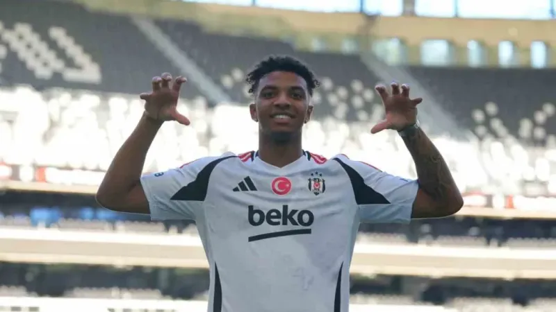 Cher Ndour, Beşiktaş’ta