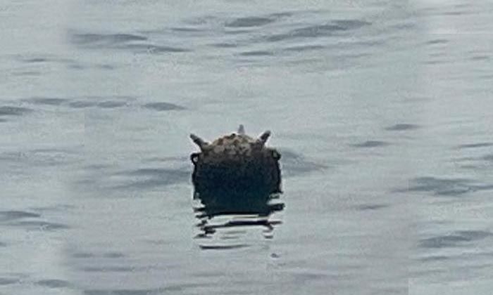 Karadeniz’de mayın paniği! Tesadüfen balıkçılar buldu