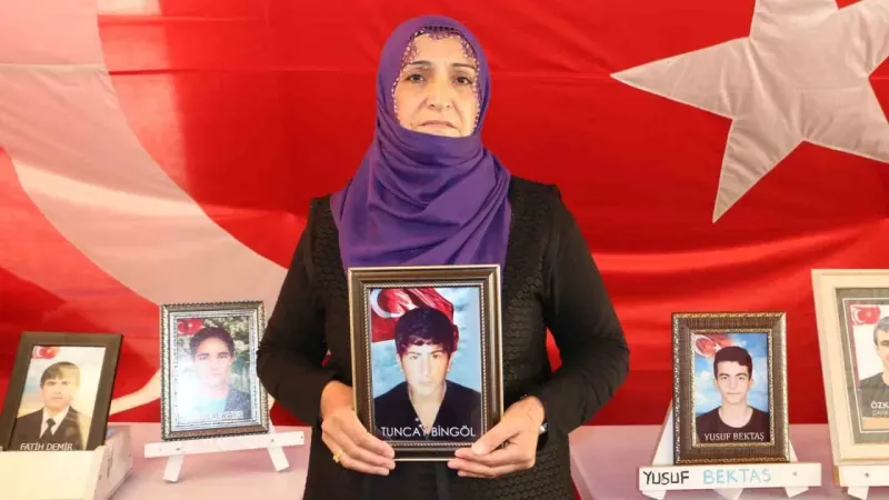 Evlat mücadelesindeki Fatma Bingöl: "Evladım kendi iradesiyle gitmedi, kandırılarak dağa gitti"