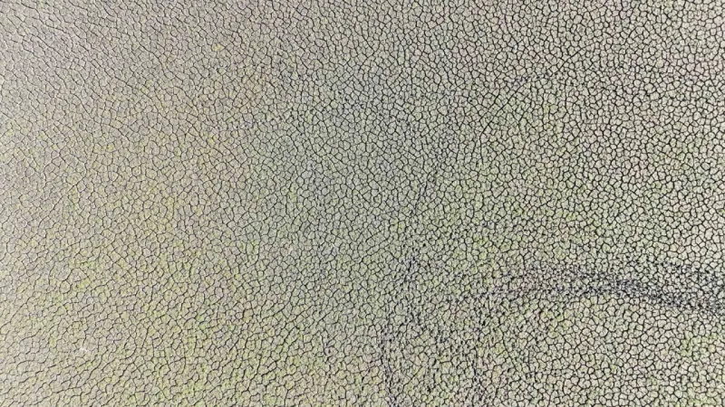 Ladik Gölü, ’Ladik çölü’ oluyor