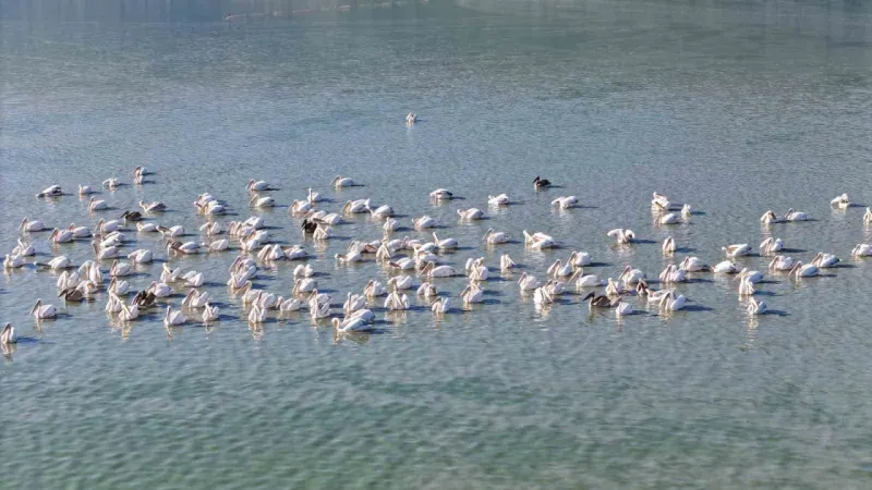 Ladik Gölü, ’Ladik çölü’ oluyor