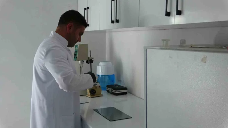 Arı zehrinin fiyatı dudak uçuklatıyor