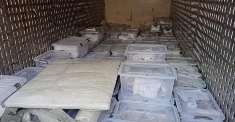 Deprem Bölgesinin Tarihi Eserleri Kırşehir Müzesi’nde