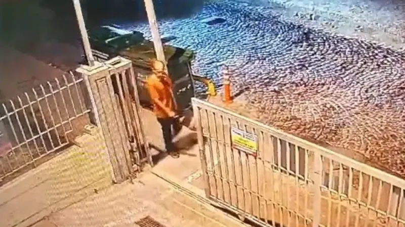 İstanbul’da zihinsel engelli adama sokak köpeklerinin saldırısı sonucu hayatını kaybetti