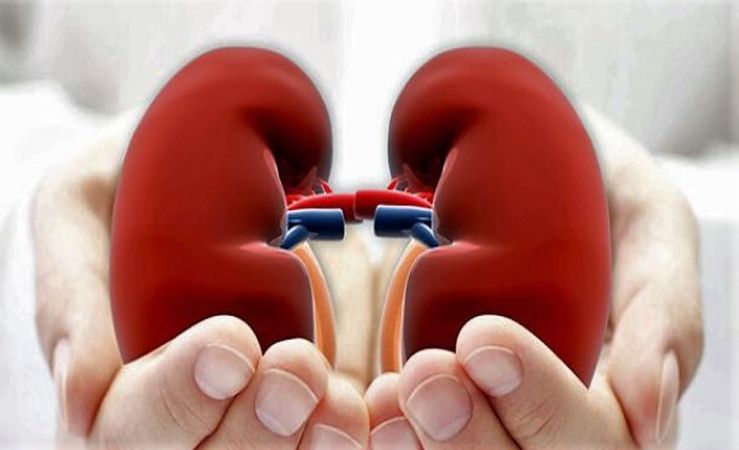 Her 10 Kişiden 1’i Kronik Böbrek Hastası