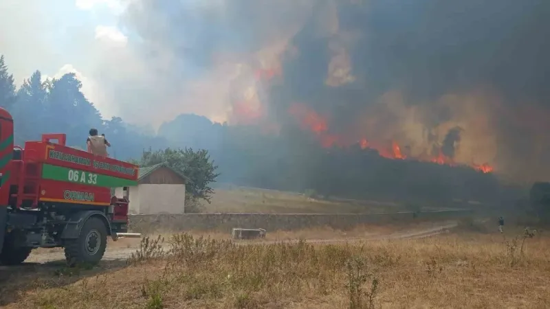 Ankara’da başlayan yangın Bolu’ya sıçradı Ankara’da başlayan yangın Bolu’ya sıçradı