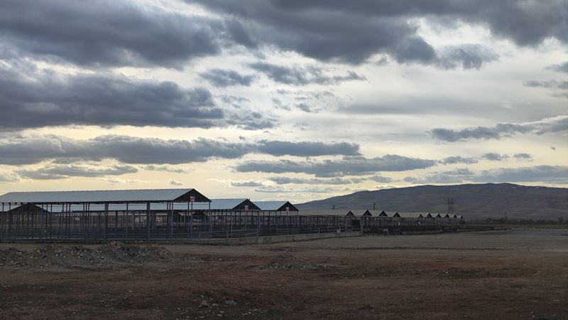 Türkiye’nin En Büyük Hayvan Pazarı Kapatıldı