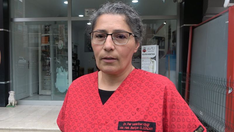 Şap Hastalığı Çok Hızlı Bulaşıyor! Şap Hastalığı Çok Hızlı Bulaşıyor!