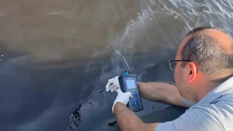 Çevre ve Şehircilik Bakanlığı’ndan İzmir Körfezi’ndeki balık ölümlerine inceleme