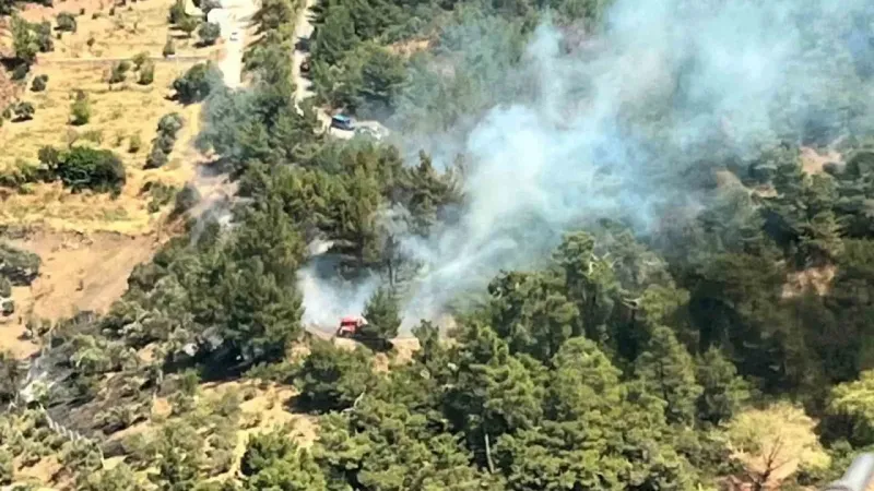 İzmir’de ormanlık alanda yangın İzmir’de ormanlık alanda yangın