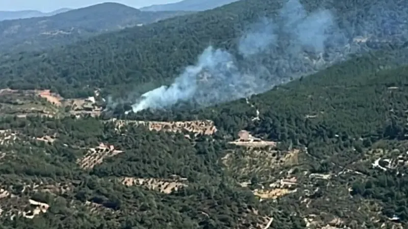 İzmir’de ormanlık alanda yangın İzmir’de ormanlık alanda yangın