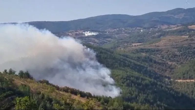 İznik’te çıkan orman yangınına 6 uçak ve 3 helikopter müdahale ediyor