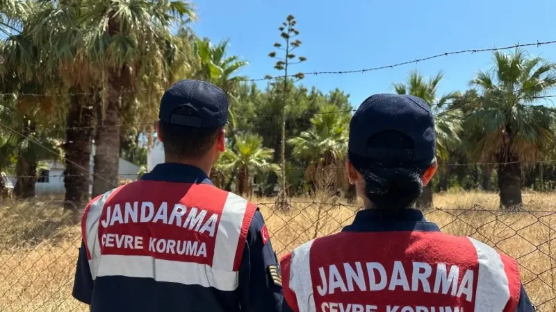 Bu bitkiyi koparmanın cezası 387 bin TL