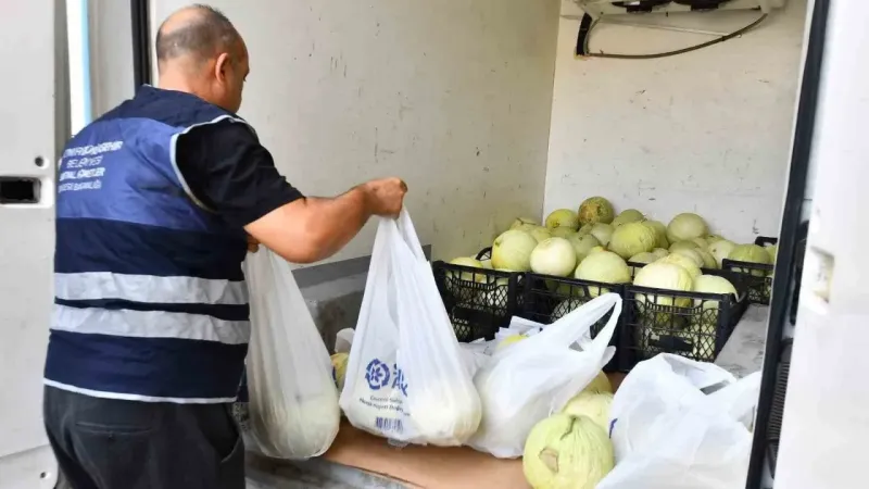 Tarlada kalan 300 ton kavun vatandaşa dağıtıldı