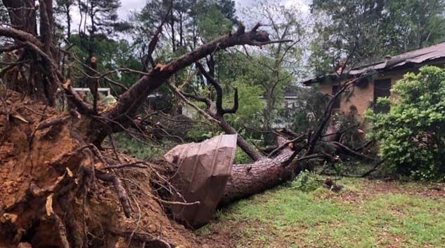 ABD’nin güneyinde kasırga felaketi: 6 ölü