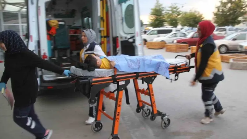 Parkta köpeklerin saldırısına uğrayan çocuk hastanelik oldu