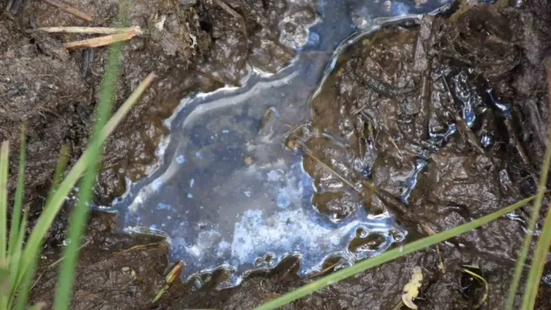 Doğu Karadeniz’de denizden sonra karada da petrol umudu